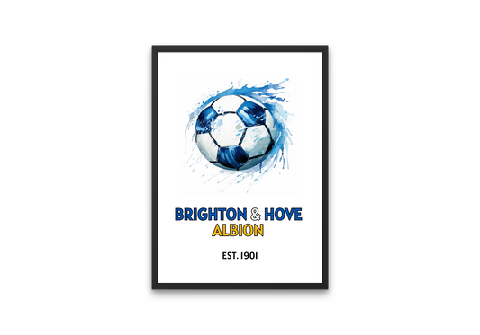 Brighton & Hove Albion