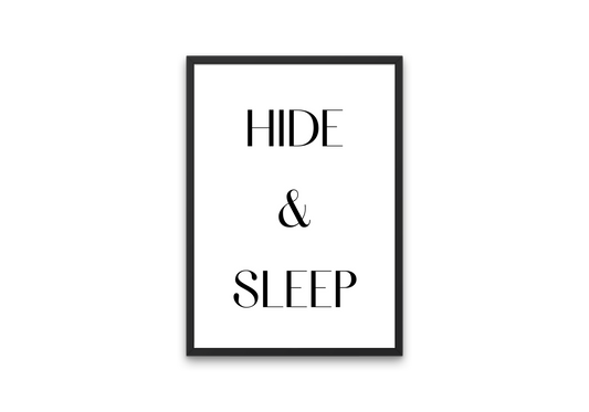 Hide & Sleep